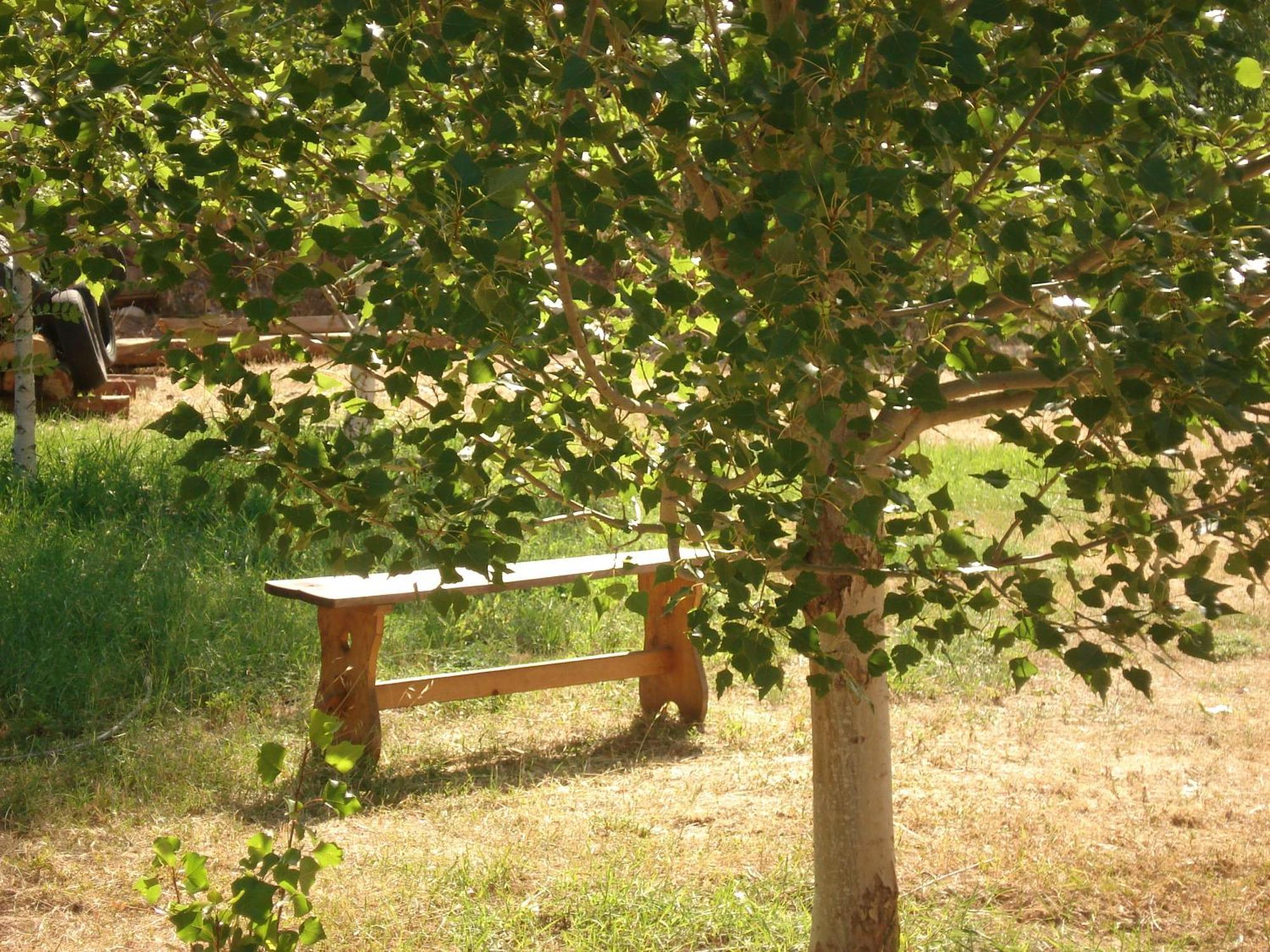 Masia El Carcaba - Moli Del Pont. Cornudella de Montsant Exterior photo